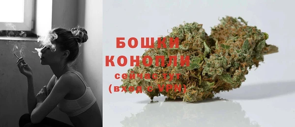 амф Арсеньев